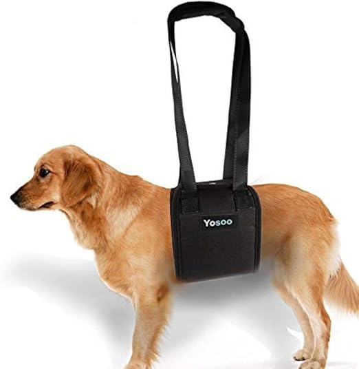 dog lifting harness for stairs