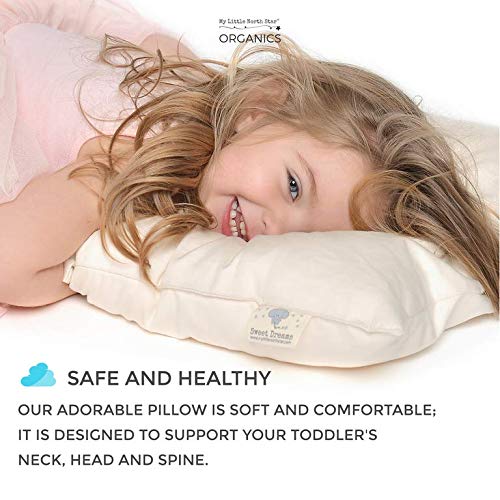 1 Toddler+Pillow+ORGANIC+Cotton+Washable
