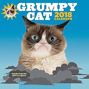 Grumpy Cat 2018 Wall Calendar