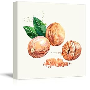 Square Canvas Wall Art - Nutmeg Watercolor | Fruits Watercolor Art and Illustrations - Giclee Print Gallery Wrap Modern Home Art Ready to Hang - 12x12 inches