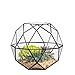 NCYP 8 inches Glass Geometric Dome Terrarium, Triangular Pentagon 32-Sides Indoor Succulent Air Plants Terrarium, Balcony Miniature Decor Centerpiece, No Plants Included