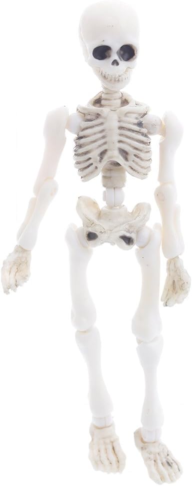 mini skeleton toy