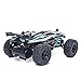 RC Truck,ESGOT ES-V315 1:24 2.4GHz 2WD High Speed Radio Remote Control Electric Vehicle
