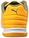 PUMA Men's Evospeed Sala Soccer Shoe