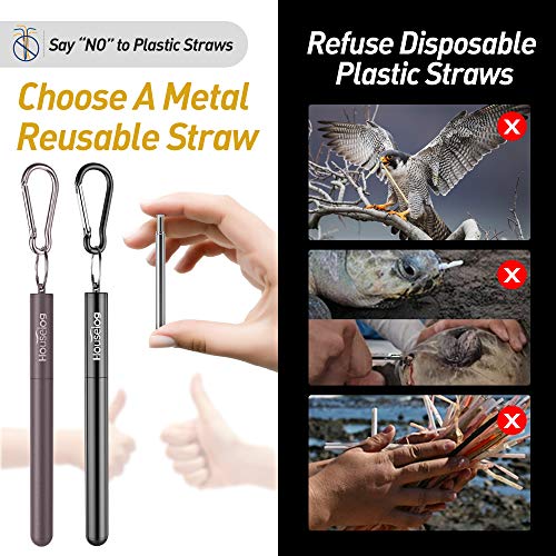 Reusable Straws - 2 Pack Telescopic Straws Stainless Steel Metal Drinking Straw (Black/Grey)