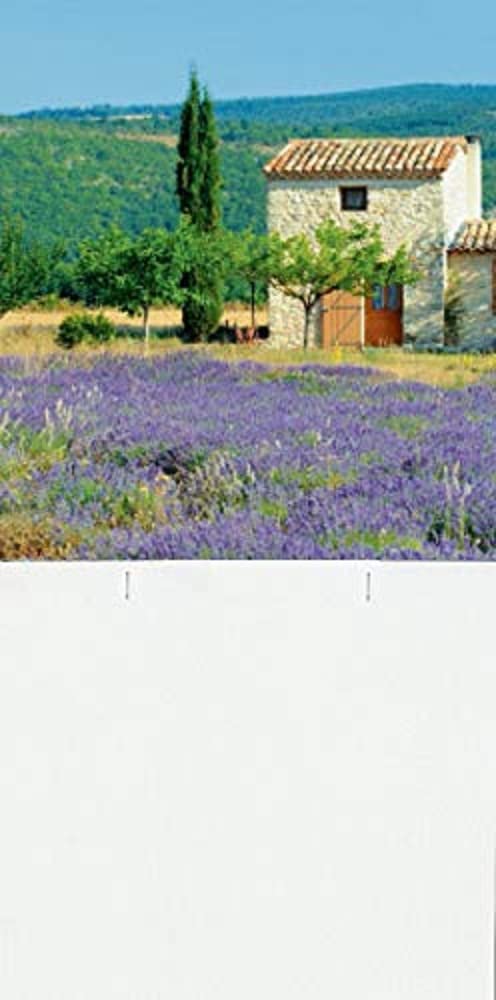 Brunnen 1070344 Calendar Back Wall Landscape Design for Day Tear-Off Calendar No. 4 180 x 330 mm