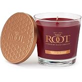 Root Candles Fall Scented Veriglass, Small, Spiced Orchard | Premium Handcrafted Beeswax-Blend Candle, 6.3-Ounce Filled Jar Burns up to 44 Hours