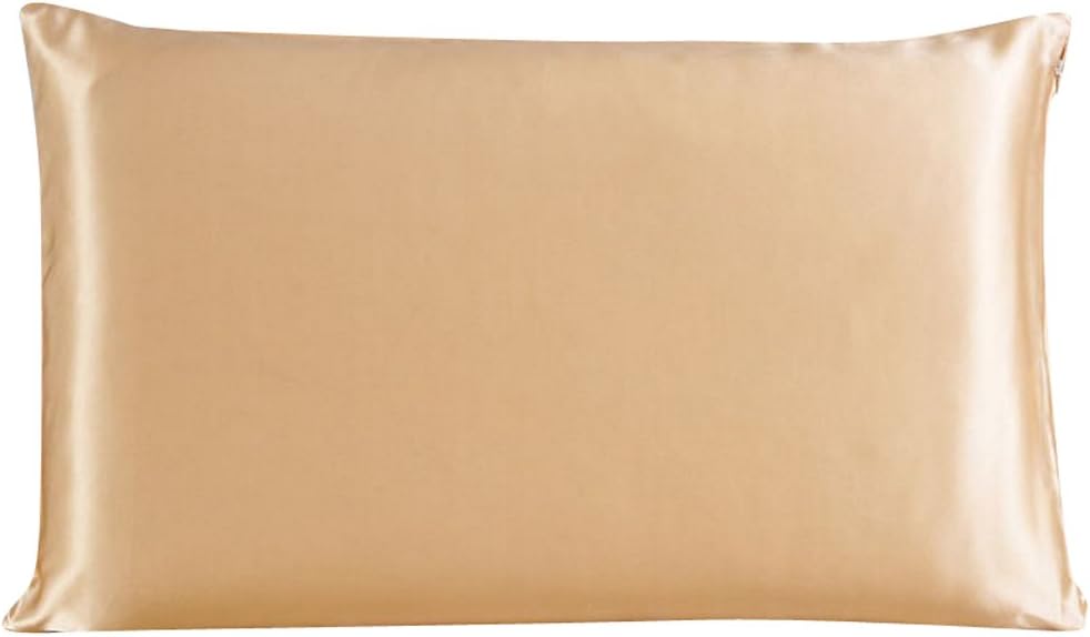MSSilk “Sleep Like a Baby” 19 Momme All Mulberry Silk Charmeuse Pillowcase-Zipper Closure (Single Standard 20’’ x 30’’, Champagne)