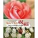Accompany a lifetime of blessings (hardcover) (Traditional Chinese Edition) 9868850215 Book Cover