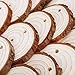 Wood Slices 30Pcs 2.4