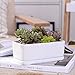 White Ceramic Rectangular Flower Pot,6.5 inch Modern Minimalist White Ceramic Succulent Planter Pot/Container with Ceramic Tray
