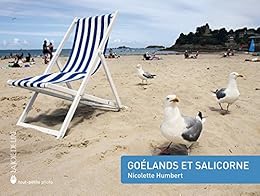 Goélands et salicorne