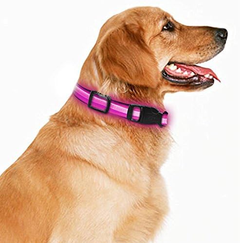 LED Dog Necklace Collar USB Rechargeable Loop Available in 4 Colors Pink Green Blue Black 3 Size For You to Choose Makes Your Dog Visible Safe &amp; Seen (M, Pink)