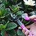Professional Stainless Steel hand pruner, Pruning scissors, Best Plant Cutter, Garden Pruners, Efficient Hedge Trimmer, Garden Shears, Flower Cutter, bypass pruner, SK-5 Steel Blade Clippers.