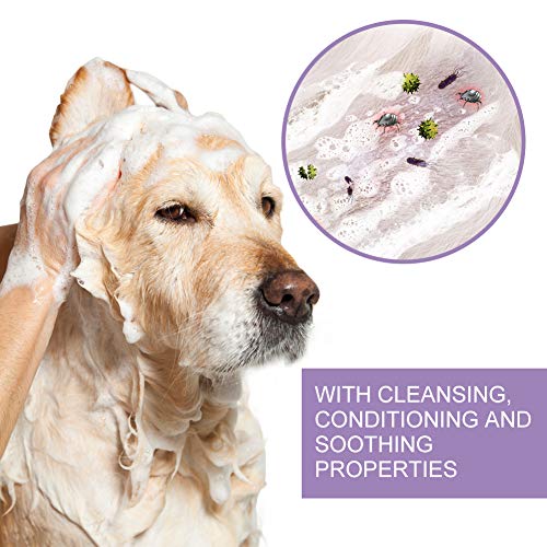 Natural Dog Shampoo, Oatmeal Dog Shampoo, Puppy Shampoo, Pet Shampoo