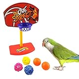 Jocestyle Parrot Basketbal Pet Birds Ball Chew Toy Hoop Prop