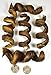 Downtown Pet Supply Spiral Bully Sticks for Medium Dogs - Dog Dental Treats & Rawhide-Free Dog Chews - Dog Treats with Protein, Vitamins & Minerals - Regular - 4-6in - 20Ct