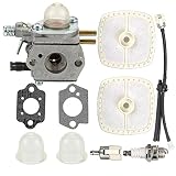 Butom SRM-2100 Carburetor with Air Filter Tune Up Kit for Echo SRM-2110 SRM-2400 SRM-2410 PE-2400 PE-2000 GT-2000 GT-2400 PP-1400 PP-800 PPF-2100 PPT-2100 HCA-2400 LHE-2475 TT-24 Power Pruner Trimmer