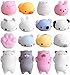 CINDEAR Animal Squishies Toys, 16 Pcs Gift Box Packing Mochi Mini Kawaii Squishy Set Squeeze Sensory Fidget Toy Slow Rising Squishies Cute Cat Anxiety Stress Relief Toys for Kids 6 Year Old Up/Adult