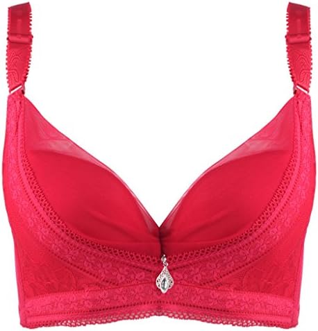 Women's Lace Push Up Bra Brassiere (Underwire Plus Size 36-44 B-C)