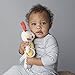 Petit Collage Organic Baby Developmental Soft Toy, Bunny