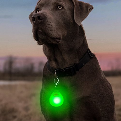 Higo LED Dog Tags, Pack of 3PCS Light Up Clip-on Pet ID Tags Key-Chain, Glow in The Dark Blinking Dog Safety Light Pendants Make Your Dogs Visible& Safe at Night (Red, Pink, Green) - Thumbnail 2