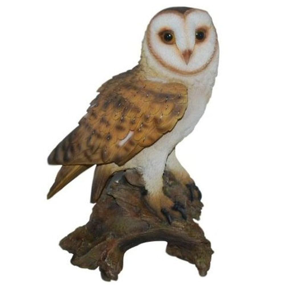 Vivid Arts Real Life Barn Owl