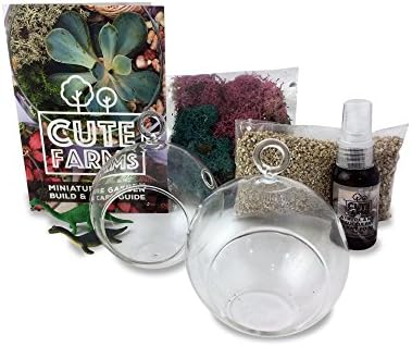 Cute Farms 3.5" Glass Bubbles Set of 2 | Add Your Own Plant Terrarium Kit + Plant Food (Powder Blue &amp; Natural Moss)