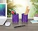 EasyPAG 2 Pack Metal Desk Pen Holder Pencil Cup Organizer Medium,Purple