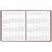 AT-A-GLANCE Monthly Planner / Appointment Book 2017, 15 Months, 9 x 11