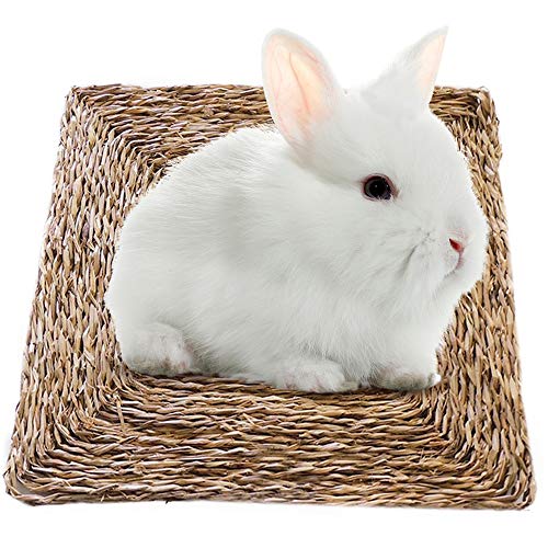 SunGrow Seagrass Rabbit Mat, 12x12 Inches, Edible, Handmade, Hay Mat