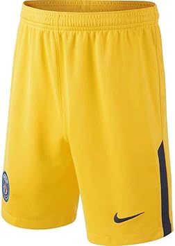 psg nike shorts