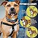 Freedom No-Pull Dog Harness Training Package, Large, Neon Orange