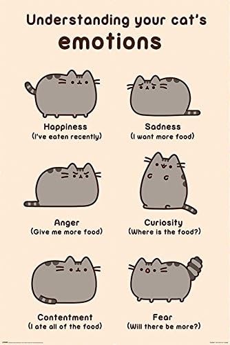 Pyramid International Cats Emotions Pusheen Maxi Poster, Plastic/glass,