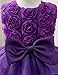 NNJXD Girl Dress Kids Ruffles Lace Party Wedding Dresses Size (90) 12-24 Months Flower Purple