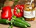 Birsppy Celeste's Hot But Sweet Jalapeño Relish (Regular, 1 Pack)