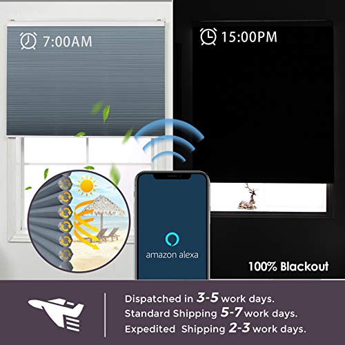 Graywind Motorized 100 Blackout Single Cell Cellular Shades Compatible