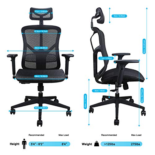 Argomax Ergonomic Mesh Office Chair High Back with Adjustable Headrest