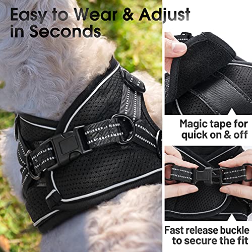 rabbitgoo Small Dog Harness, Soft Mesh Dog Harness with 4 Adjustable