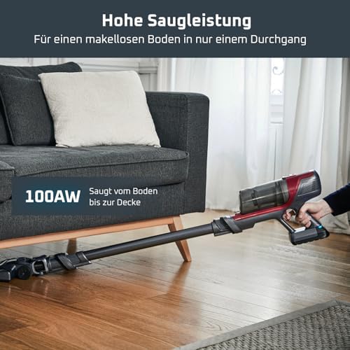 X-Pert 6.60 Animal Akkustaubsauger, 100W Leistung, 45 Min Laufzeit, kabellos & beutellos, LED-Düse, herausnehmbarer Akku, inkl. Fugendüse, Wandhalterung und Tierhaarbürste, rot/schwarz, RH6878