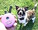Educator Small Dog Breeds ME-302 Two Dog Micro 1/3 Mile E-Collar Remote Dog Training Collar with Vibration, Tapping Sensation & Pavlovian Stimulationthumb 4