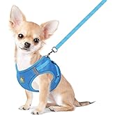 FEimaX Dog Harness and Leash Set, No-Pull Breathable Soft Mesh Puppy Vest Harness Reflective Adjustable Pet Harnesses for Sma