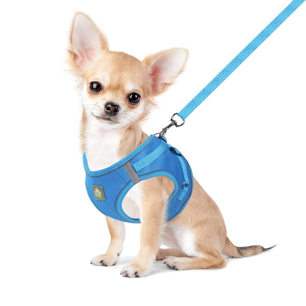 Photo 1 of FEimaX Dog Harness and Leash Set, No Pull Breathable Soft Mesh Puppy Vest Harness Reflective Adjustable Pet Harnesses for Small Medium Dogs and Cats - Outdoor Easy Control for Walking