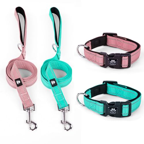 Ivy Ivy&lane Dog Collar Leash Set