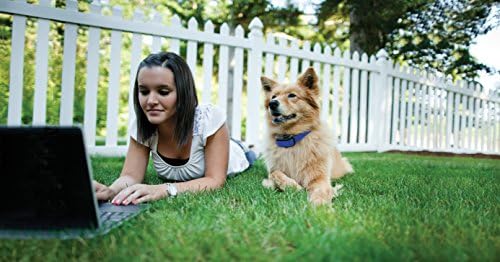 petsafe elite bark control