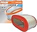 FRAM Extra Guard CA7438 Replacement Engine Air Filter for Select Ford Models, Provides Up to 12 Months or 12,000 Miles Filter Protection