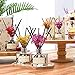COCODOR Preserved Real Flower Reed Diffuser/French Lavender / 6.7oz(200ml) / 1 Pack/Reed Diffuser Set, Oil Diffuser & Reed Diffuser Sticks, Home Decor & Office Decor, Fragrance and Gifts