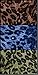(Set of 3) Leopard Animal Print Stretch Headband (Brown, Blue, Green)