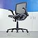 Bayside Furniture/Seat Chair, Black