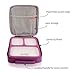 PackTOGO Leakproof Bento Lunch Box Container Set w/ Insulated Lunch Bag for Adults (Purple)